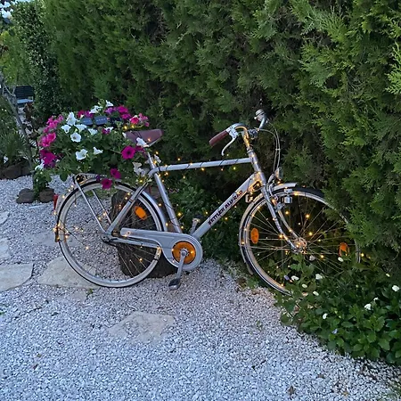 Casa vacanze Mont Saint Loup 